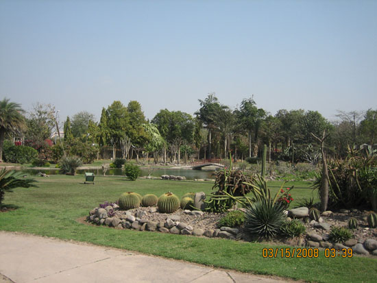 Why Visit chandigarh/attractions/ 3